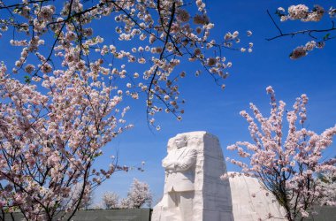 Martin luther king Jr memorial