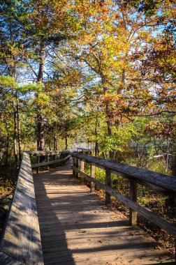 Great Falls Park Potomac Nehri'nin