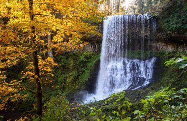 Silver Falls State Park clipart