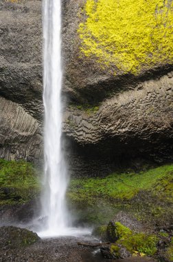 Columbia Gorge Ulusal Manzara alanı