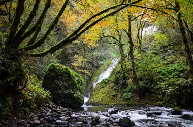 Columbia Gorge Ulusal Manzara alanı
