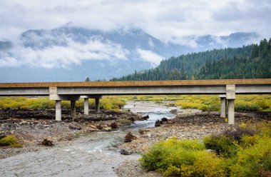 Mount Baker-Snoqualmie Ulusal Ormanı