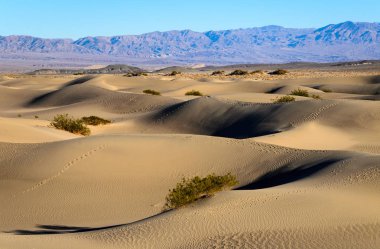 Ölüm Vadisi Ulusal Parkı