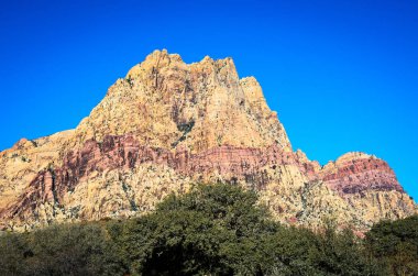 Bahar dağ çiftliği State Park