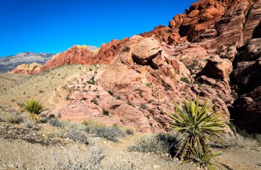 Red rock canyon Ulusal koruma alanı