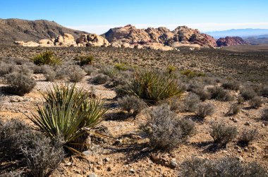 Red rock canyon Ulusal koruma alanı