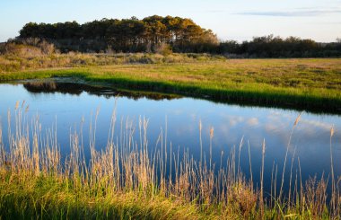 Chesapeake Körfezi Köprüsü, Maryland