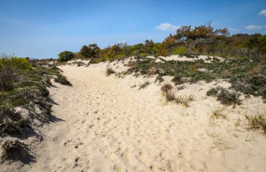 Assateague Adası Milli Seashore