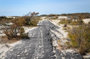 Assateague Adası Milli Seashore