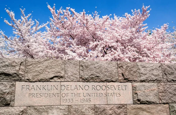 Fdr Memorial Cherry Blossom — Stock Photo, Image