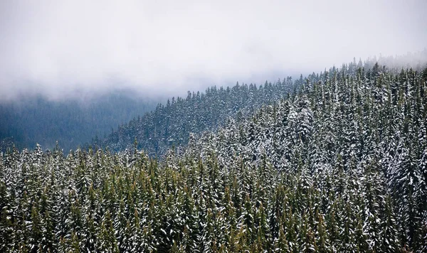 Mount Hood Каскадні Гори — стокове фото