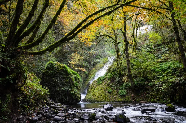 Columbia Gorge National Scenic Area — Stock Photo, Image