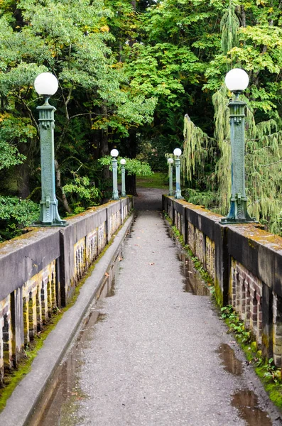 Jardin Japonais Seattle État Washington — Photo