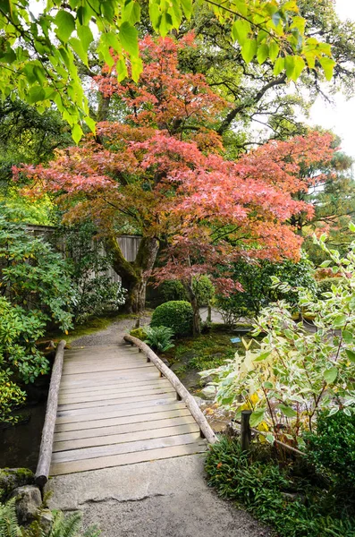 Seattle Japon Bahçesi, Washington Eyaleti