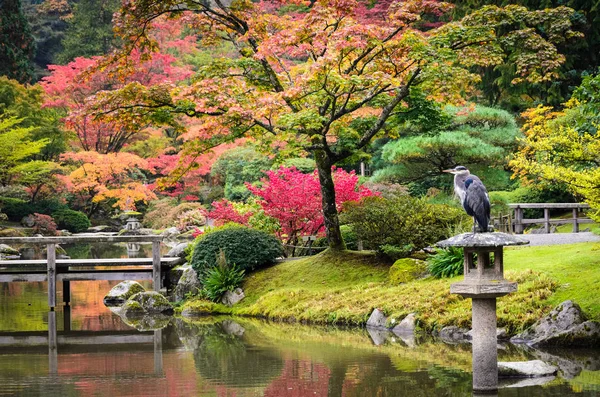 Estado Jardín Del Japonés Seattle Washington — Foto de Stock