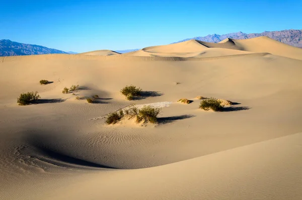 Národní Park Death Valley — Stock fotografie