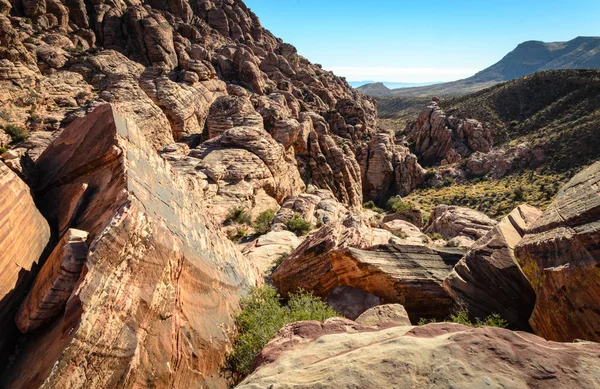 Red rock canyon Ulusal koruma alanı