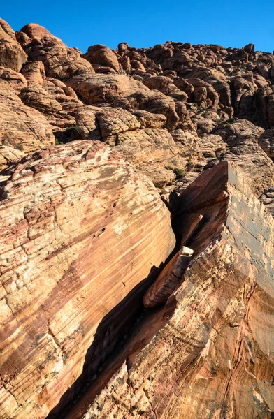 Red rock canyon Ulusal koruma alanı
