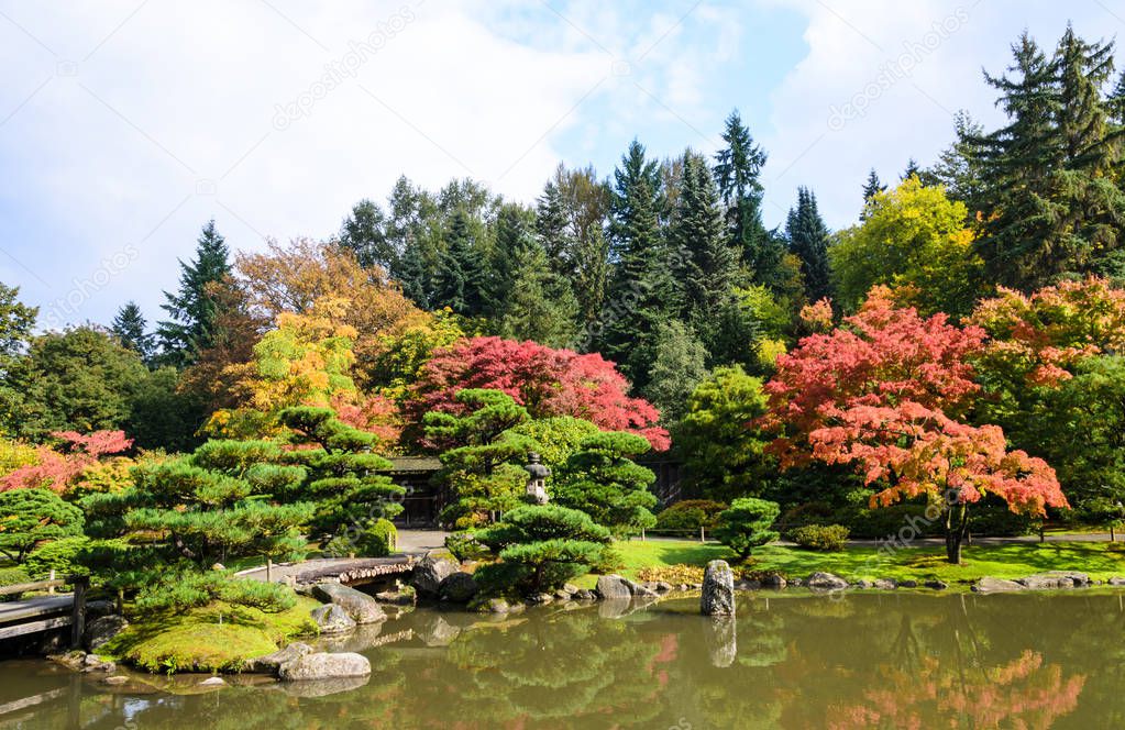Seattle Japanese Garden, Washington State