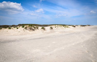 Assateague Adası Milli Seashore