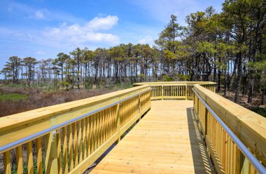 Assateague Adası Milli Seashore