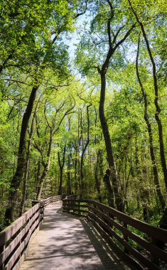 Tuzak Pond State Park