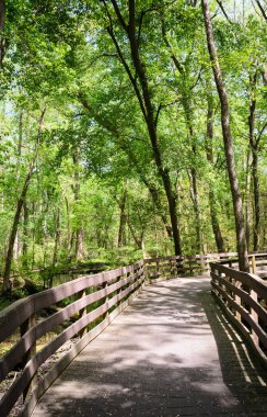 Tuzak Pond State Park