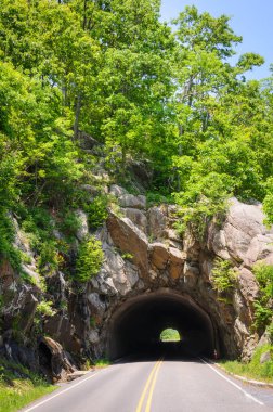 Shenandoah Milli Parkı doğa