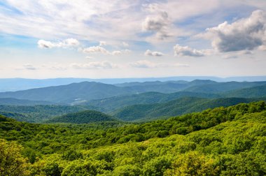 Shenandoah Milli Parkı doğa