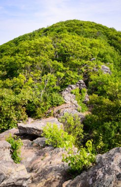 Shenandoah Milli Parkı doğa