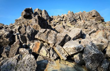 Shenandoah Milli Parkı doğa