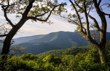Shenandoah Milli Parkı doğa