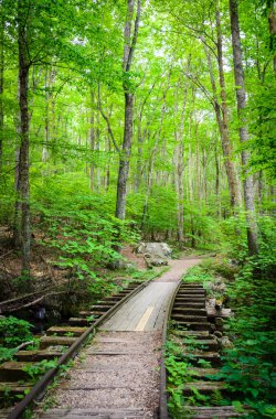 Blue Ridge Parkway, Skyline sürücü