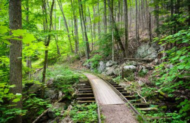 Blue Ridge Parkway, Skyline sürücü