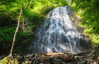 Blue Ridge Parkway, Skyline sürücü
