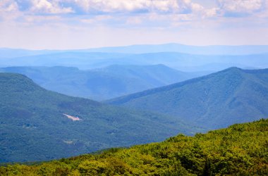 Ayı koru, Monongahela Ulusal Ormanı kayalar