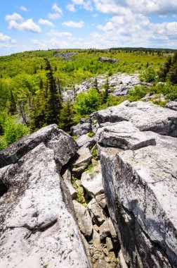 Ayı koru, Monongahela Ulusal Ormanı kayalar