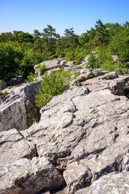 Catoctin dağın Park, Maryland