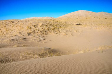 Mojave Ulusal koru, Blm