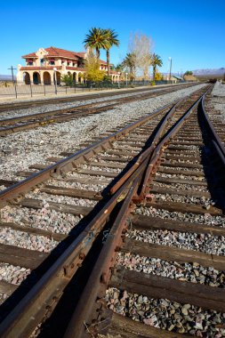 Mojave Ulusal koru, Blm