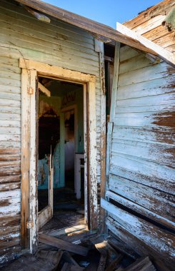 Mojave Ulusal koru, Blm