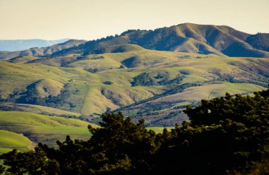 Point Reyes Ulusal Deniz Kıyısı