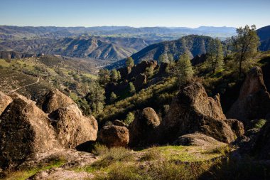 Pinnacles Milli Parkı, Kaliforniya