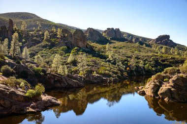 Pinnacles Milli Parkı, Kaliforniya