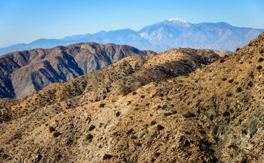 Joshua Tree National Park clipart