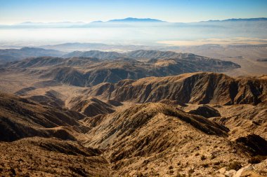 Joshua Tree Ulusal Parkı