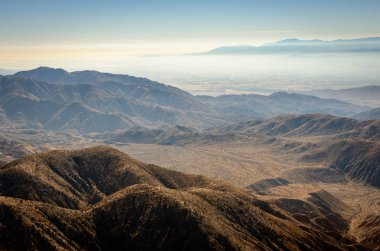 Joshua Tree Ulusal Parkı