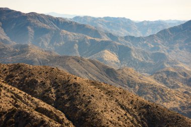 Joshua Tree Ulusal Parkı