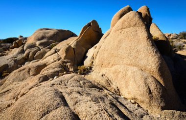 Joshua Tree Ulusal Parkı