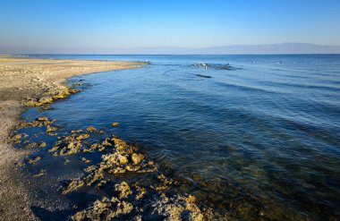 Salton Sea, Southern California clipart